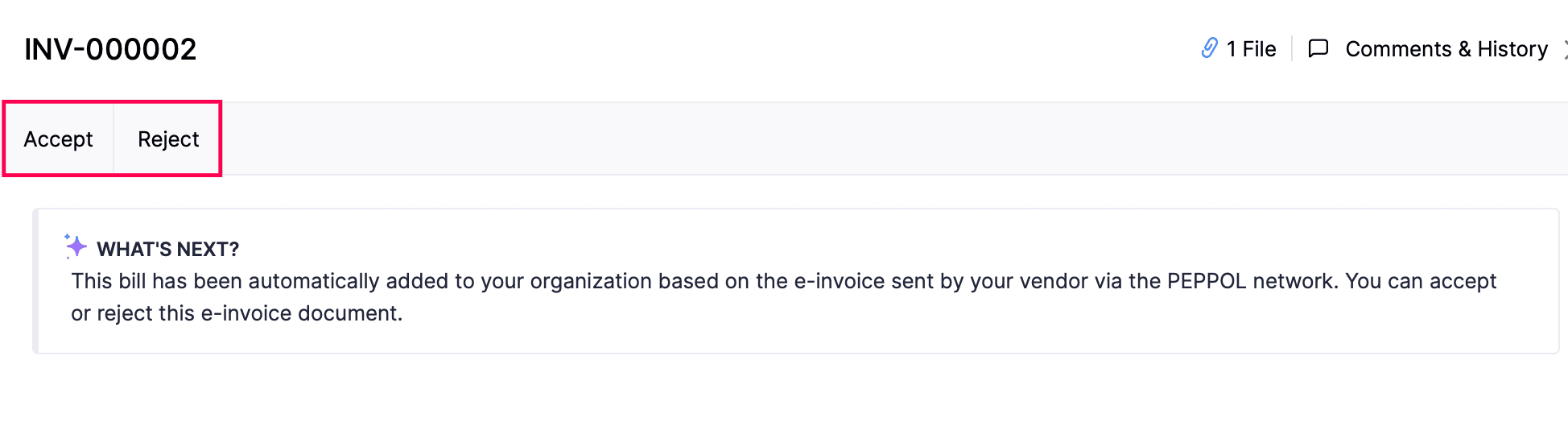 E-Invoice Function